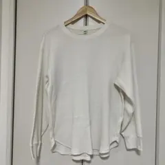 Item thumbnail for item 57fd089d-87df-4a9d-b763-50b3d8e9e6ec