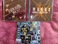 jen出品WANDSフォトブック WANDS LIVE PHOTO BOOK 2022 - メルカリ