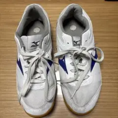 体育館シューズ