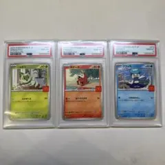 【3連番PSA10】ニャオハ　ホゲータ　クワッス　御三家　マクドナルド　プロモ