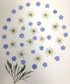 Item thumbnail for item 5eaf79d0-f3ed-4a91-954d-8c89b1bce195