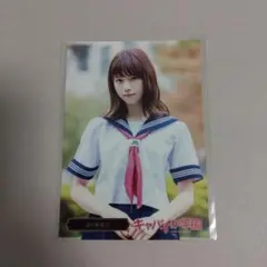 乃木坂46 西野七瀬 卒業記念生写真 全70種 フルコンプ - メルカリ