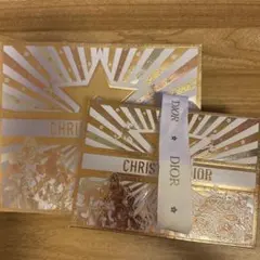 Dior ホリデー限定 ショッパー ラッピングギフトショッパー