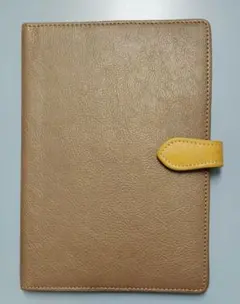 Item thumbnail for item f12cadf1-7e83-42fc-887f-c6dd344aa303