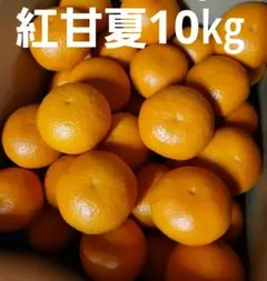 農薬不使用　浜名湖産　不知火　ネーブルミックス10kg 安心　安全(^^) Amazon.co.jp: 農薬・化学肥料不使用 ネーブル 10kg 防腐剤 ノー