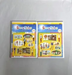 【匿名配送】 Sunny Skies ECC DVD PB 2本セット