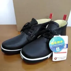 Item thumbnail for item 3a77685c-c994-43a5-bd2f-18d4abccc236