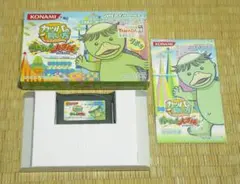 【♪値下げ】ゲームボーイアドバンス「カッパの飼い方　かぁたん大冒険！」【レア】