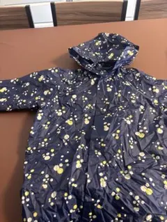 Item thumbnail for item 68066142-6534-483c-b3a9-e5296581c34d