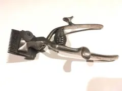 Item thumbnail for item 2720701a-cc8e-49bf-a8f0-9d2c97c1e1c6