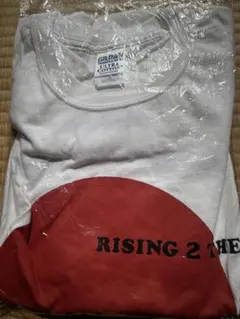 ライコネン様 リクエスト 2点 まとめ商品