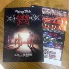 【匿名即日】 12枚　映画　Stray Kids スキズ　フライヤー