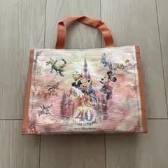 ディズニー 40周年記念トートバッグ