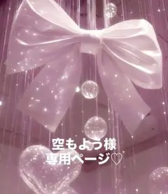 空もよう様専用ページ♡
