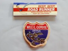 Road Runner ロードランナー(ワイリーコヨーテ)MOONEYES