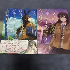未開封】青春ブタ野郎はバニーガール先輩の夢を見ない ヴァイス