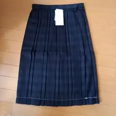 W66丈60 プリーツスカート