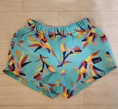 Patagonia サーフパンツ バギーズショーツ