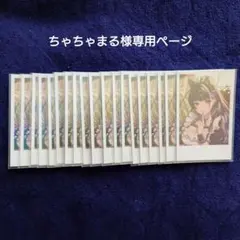 ちゃちゃまる様 専用ページ 他の方の購入はご遠慮ください。