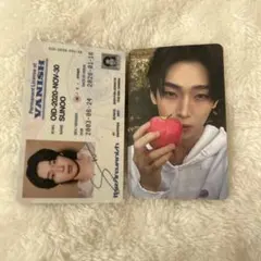 ソヌ　トレカ　The Sin:Vanish