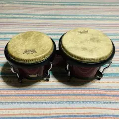Toca Limited Edition ボンゴ 青×ゴールド KAMAN - メルカリ