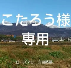 こたろう様専用