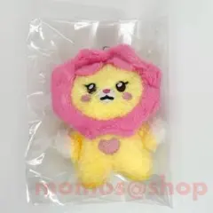 2025年最新】ソヨン ぬいぐるみの人気アイテム - メルカリ