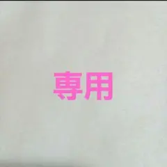 専用になります。