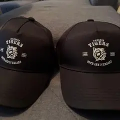 阪神タイガース キャップ 甲子園開幕記念 Joshin