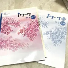 Item thumbnail for item 0a20ed89-9201-4ade-a18d-87b8e667c506