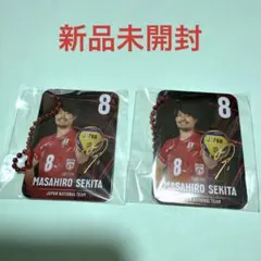 バレーボール男子日本代表 関田誠大 メタルチャーム 2個セット