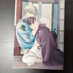 ❗️送料込❗️落花流水のホシ