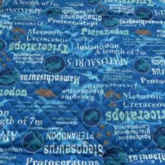 キルティング生地　はぎれ