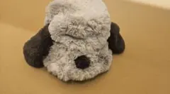 usj　ユニバ　スヌーピー帽子