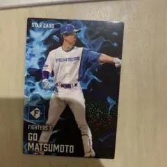 2025プロ野球チップス第一弾S-15