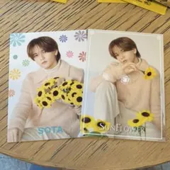 中島颯太 フォトカード SUNFLOWER セット
