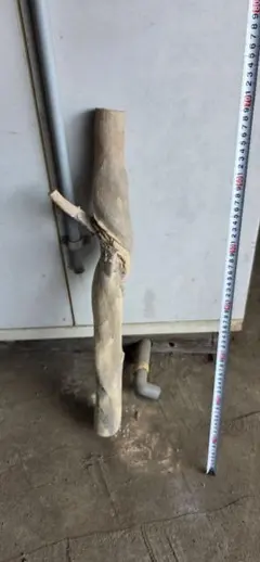 Item thumbnail for item 43197d7a-77ee-45d8-9e81-58316657aea2