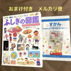 値下げ☆おまけ付き☆小学館 プレNEO 楽しく遊ぶ学ぶ ふしぎの図鑑