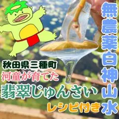 2キロ農地直送 秋田県三種町 翡翠生じゅんさい c 2キロ農地直送 秋田県三種町 翡翠生じゅんさい c - メルカリ