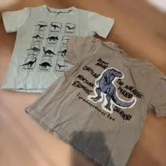 恐竜 Tシャツ 2枚セット 120cm