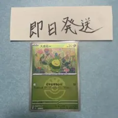 スボミー ミラー