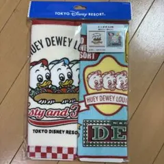 ディズニーリゾート　ミニタオルセット　ヒューイドゥーイルーイ　新品