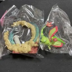 フライゴン