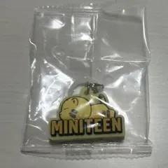 MINITEEN ぷっくりめじるしアクセサリー ホシ TAMTAM