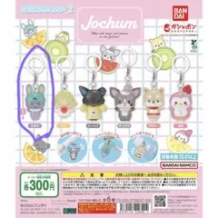 JOCHUMめじるしアクセサリー　ちまた