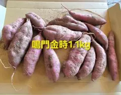 さつまいも鳴門金時1.1㎏　77のサムネイル