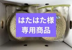 「専用」温室メロン メロン アールスメロン 果物 マスクメロン 大玉 ギフトのサムネイル