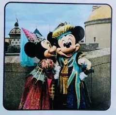 ディズニー ミニタオル ミッキー ミニー イマジニング・ザ・マジック