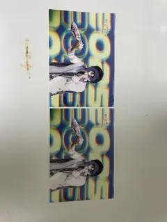 実写ブロマイド もふ