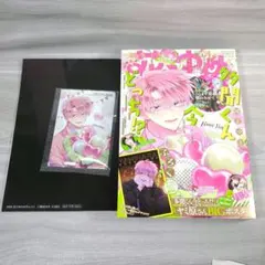 花とゆめ アニメイトオンライン 特典 ブロマイド オールスター 通販 まとめ売り 花とゆめ2026年14号 多聞くん今どっち！？ アニメイト特典ブロマイド